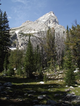 grand-teton