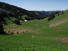 coal-creek-meadows