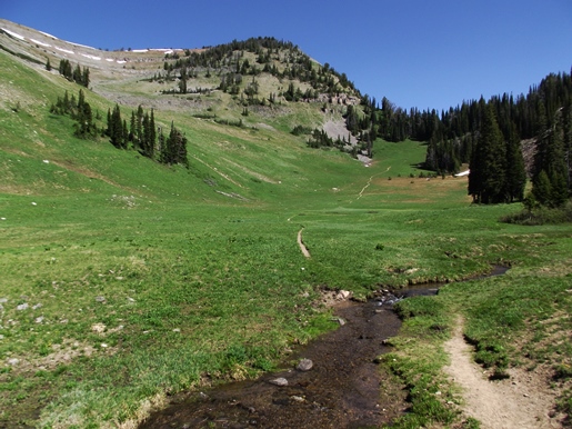 coal-creek-meadows