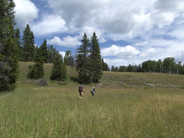 emma-matilda-lake-trail