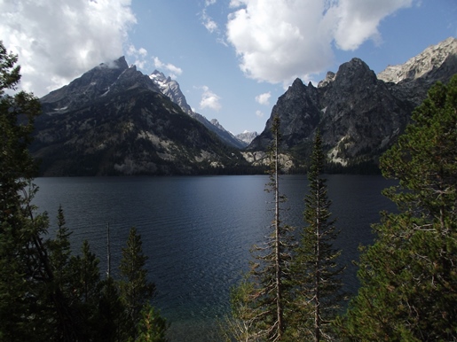 jenny lake