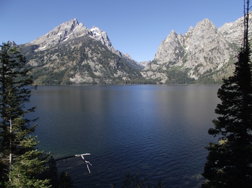 jenny lake