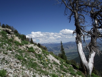 [https://www.tetonhikingtrails.com/grand-teton-photos/mount-glory/mt-glory.jpg|https://tse1.mm.bing.net/th/id/OIP.9yRjLl7azOhKmoYKURaxPgHaFj?w=241&h=180&c=7&r=0&o=5&pid=1.7<!imgtitlel! image