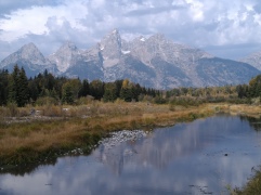 Schwabacher Landing Trail