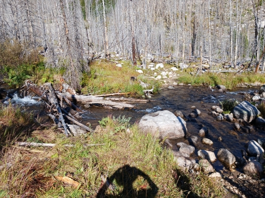 timberline-creek-crossing