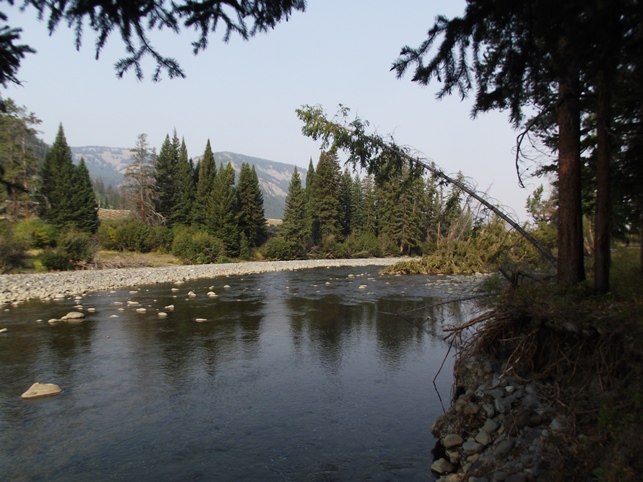 Lamar River Trail