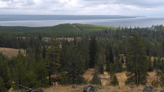 Yellowstone Lake Overlook